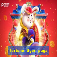 fortune tiger paga de madrugada